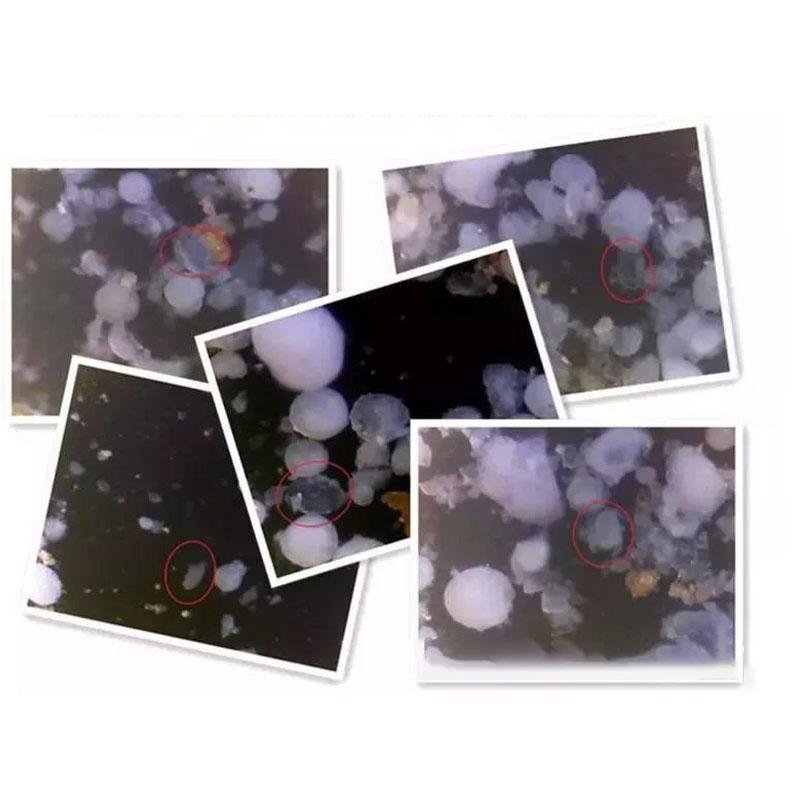 The Dust Mites Killer - Image 4