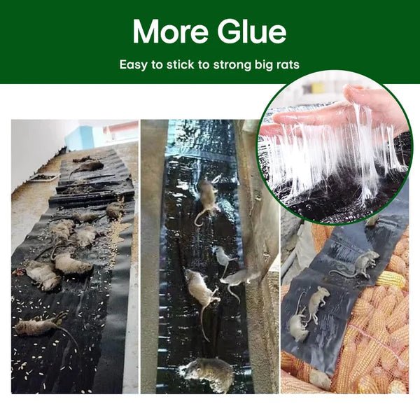 Large Sticky Mouse Trap - Image 2