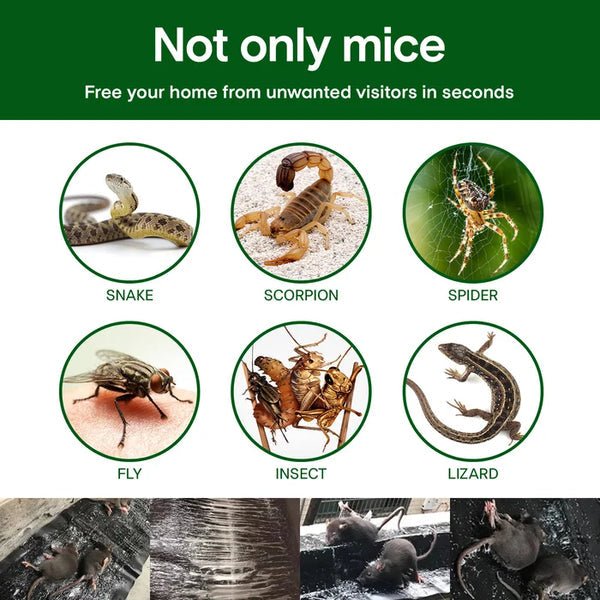 Large Sticky Mouse Trap - Image 4