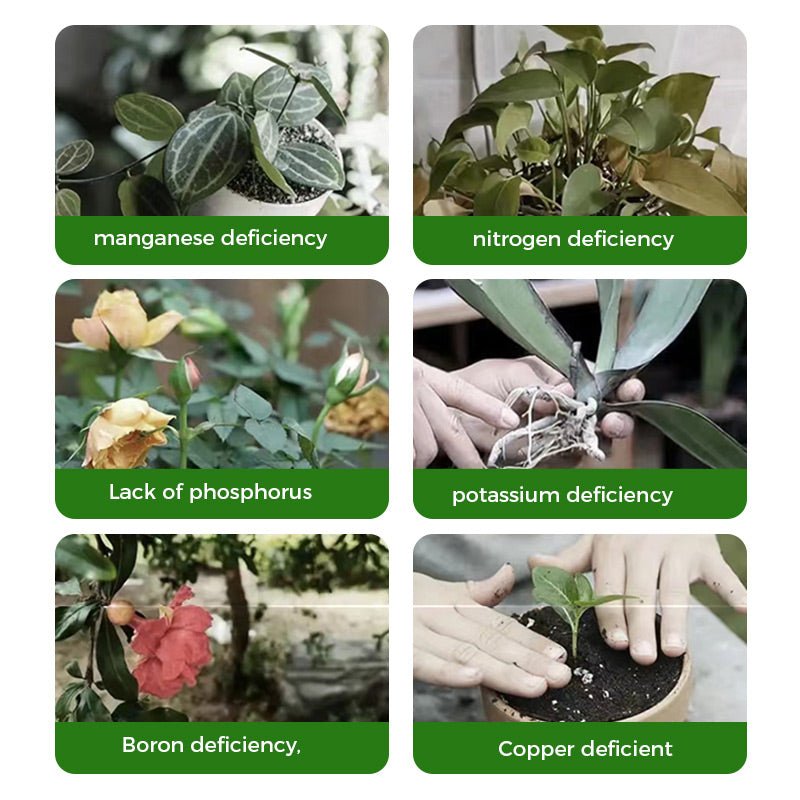 🌱 50% OFF - Rapid Bloom Booster Powder | Fast Root Growth + Bigger Flowers!🌸 - Image 3