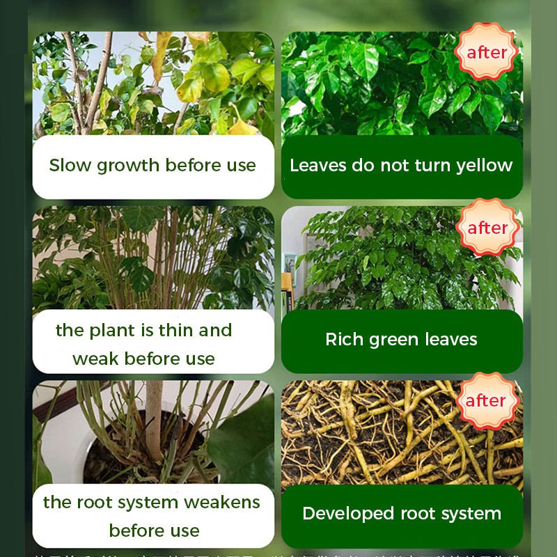 🌱 50% OFF - Rapid Bloom Booster Powder | Fast Root Growth + Bigger Flowers!🌸 - Image 4