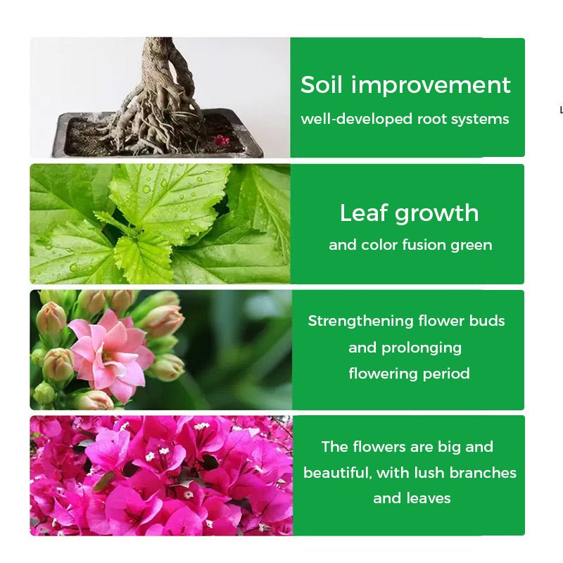 🌱 50% OFF - Rapid Bloom Booster Powder | Fast Root Growth + Bigger Flowers!🌸 - Image 5