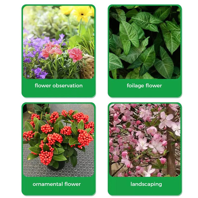 🌱 50% OFF - Rapid Bloom Booster Powder | Fast Root Growth + Bigger Flowers!🌸 - Image 8