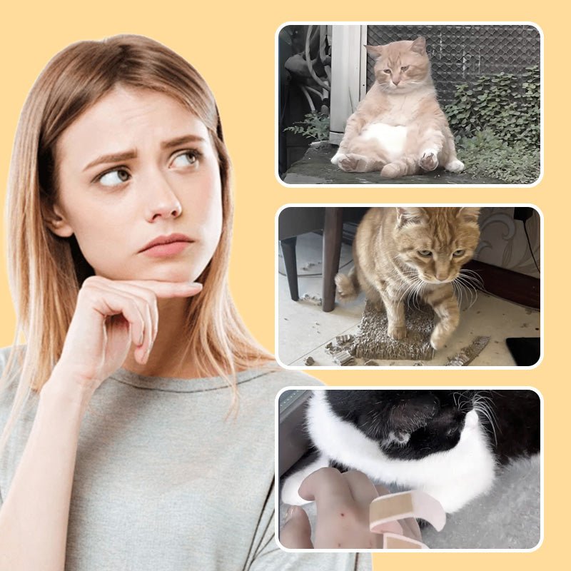 Mouse Toy for Cats and Dogs - Image 3