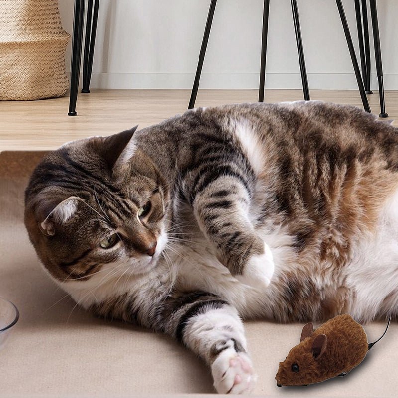 Mouse Toy for Cats and Dogs - Image 5