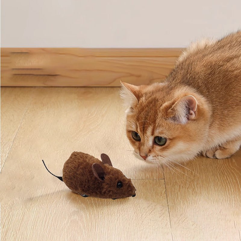 Mouse Toy for Cats and Dogs - Image 8
